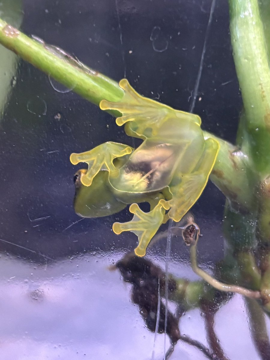 a-aqua (@aqua88257188) / Posts / X