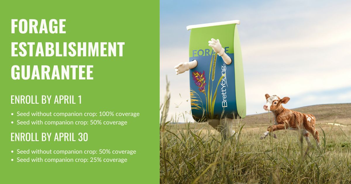 BrettYoung tweet media