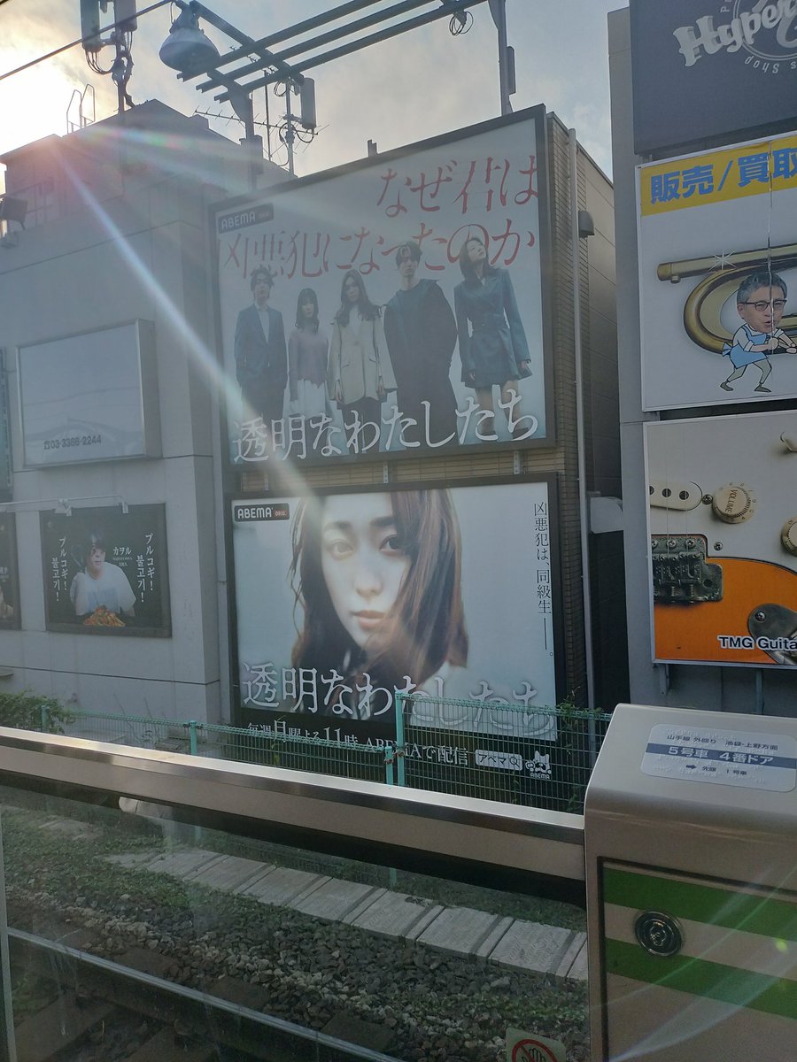 KCcat tweet media