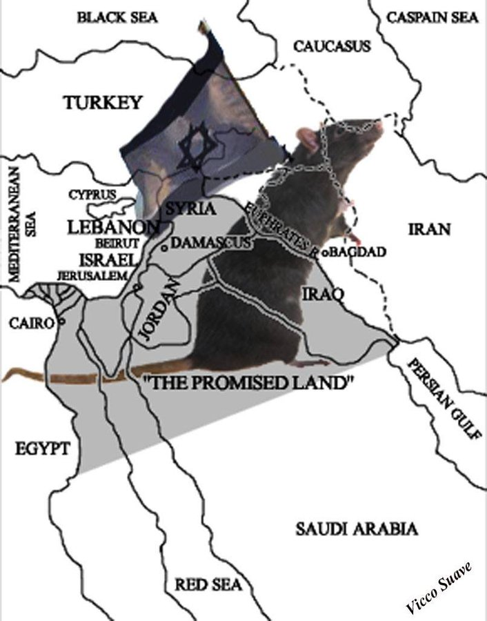 viccosuave's tweet photo. @swilkinsonbc Preparing the Chessboard for the “Clash of Civilizations”: Divide, Conquer and Rule the “New Middle East”
https://t.co/nDc4egksn5 https://t.co/ZKW1zbHXmZ
