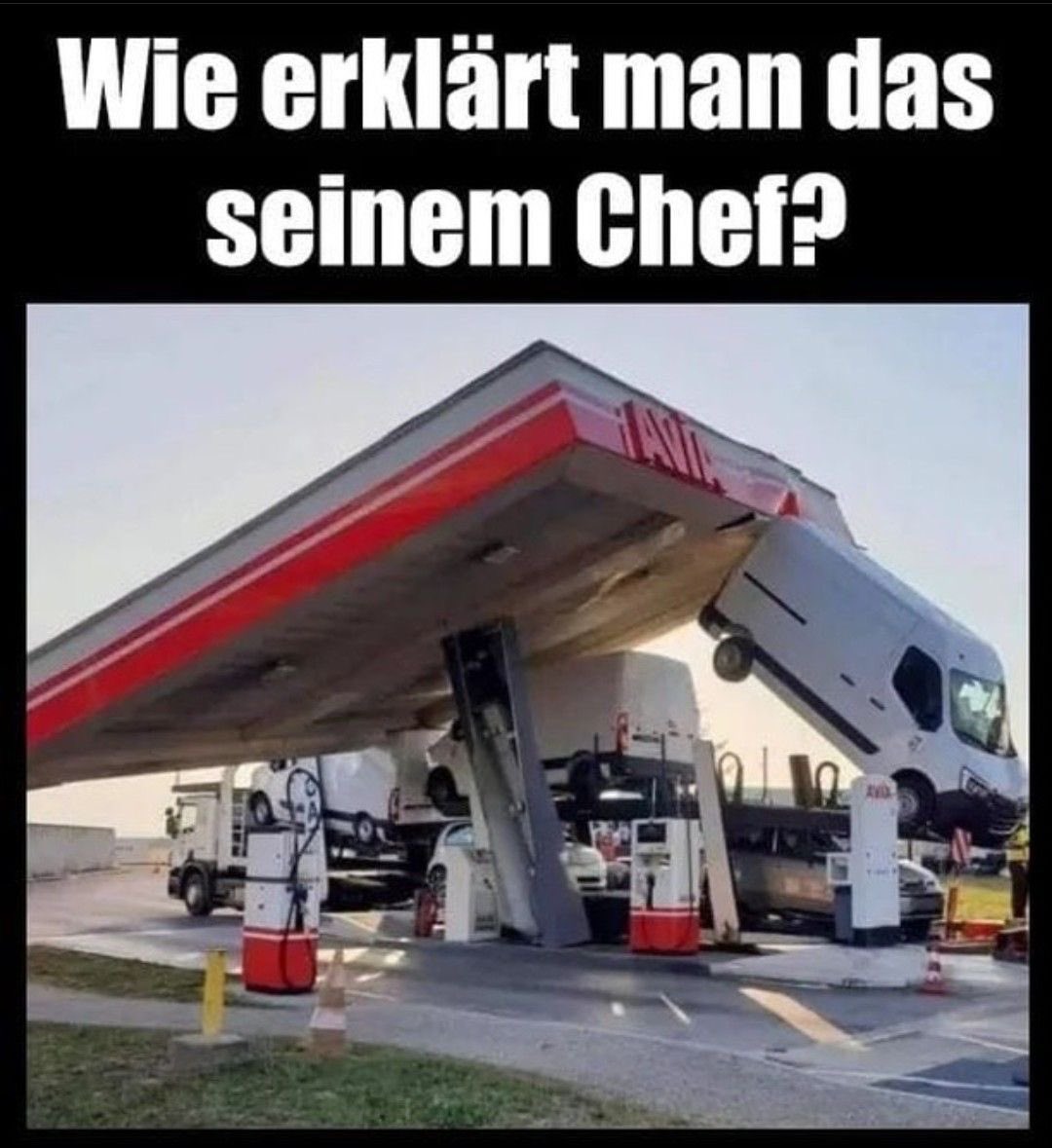 blauesschäfchen tweet media