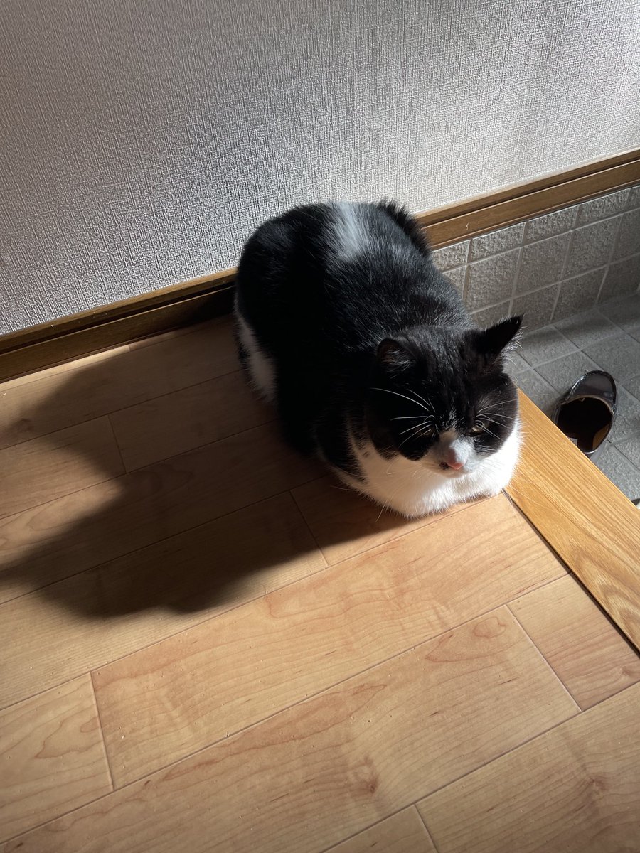 oto_panda's tweet photo. https://t.co/tWH8gBk0AA