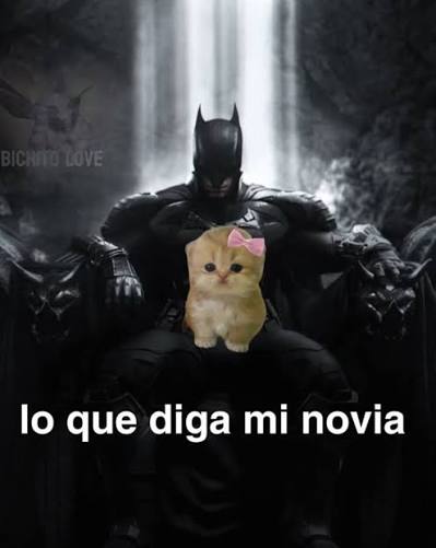 Se nota que los correos son falsos, pero yo sí le dediqué la tesis a mi novia🫡