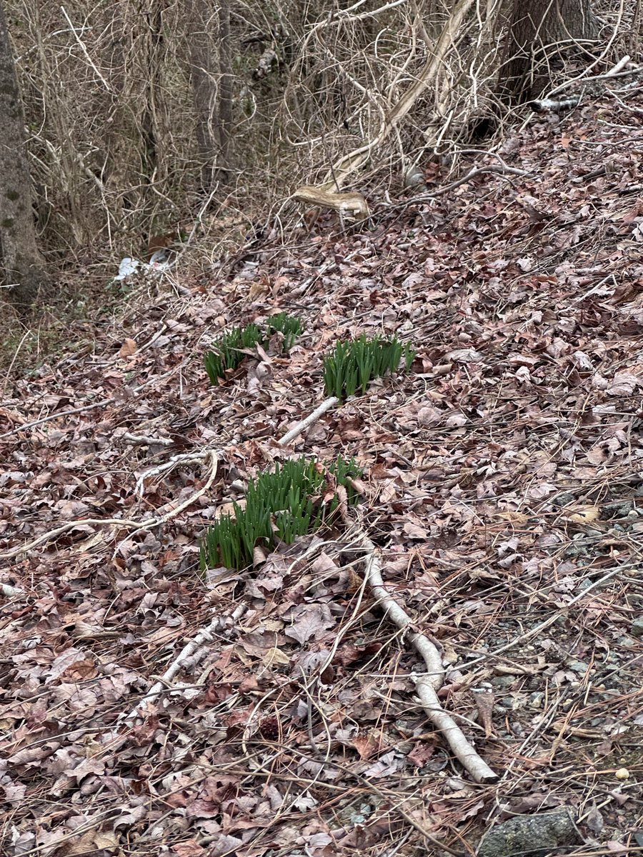 Lori Perez tweet media