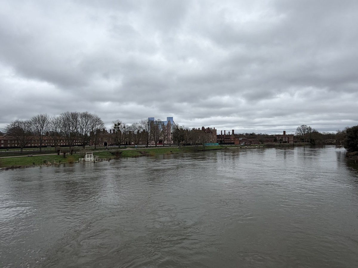 Dr Elizabeth Norton tweet media