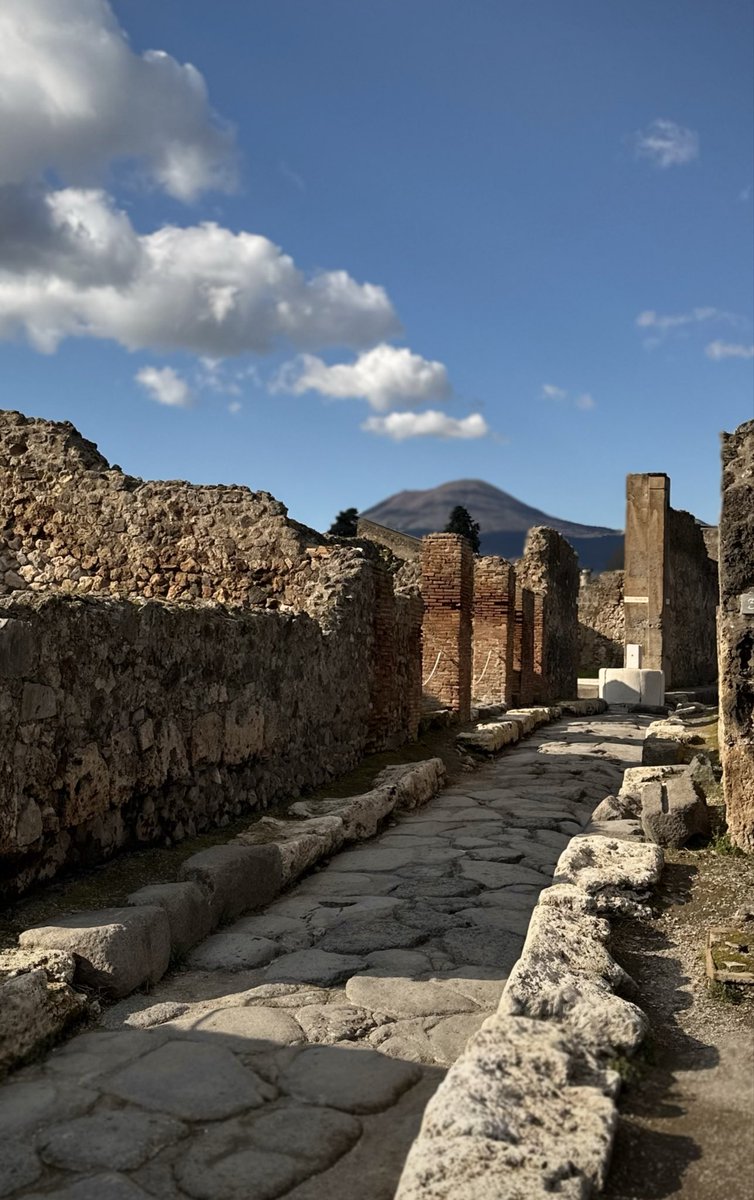pompei79's tweet image. Such a perky little day to be on site. #Pompeii