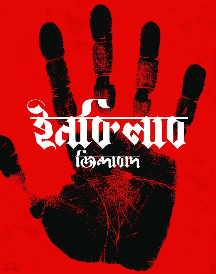 Zian 🇧🇩 tweet media