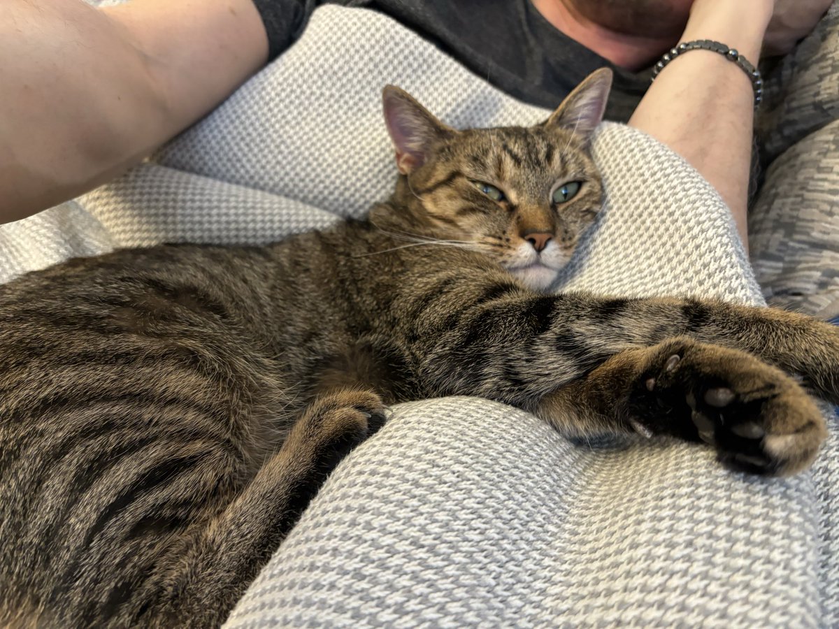 Chris Dean tweet media