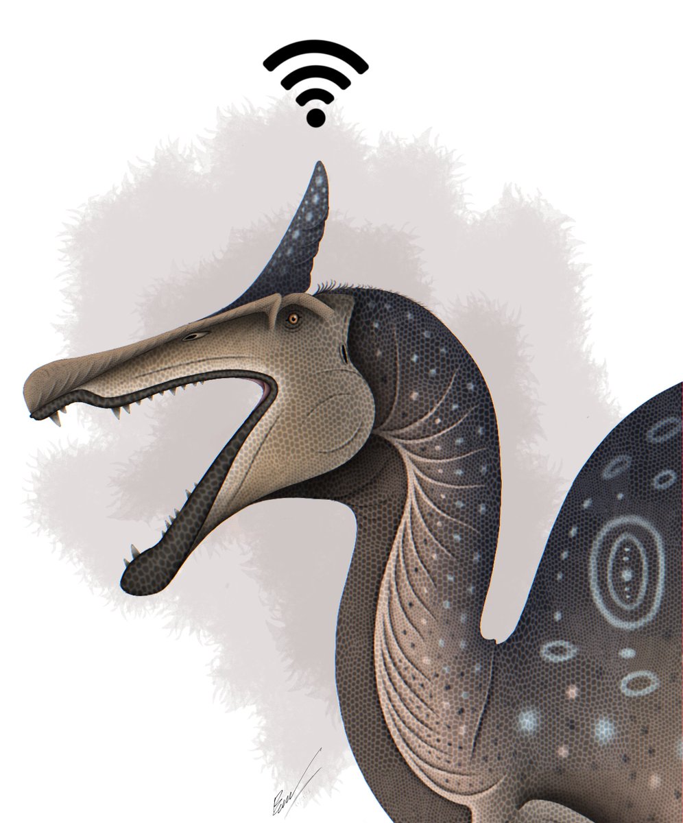 Mr.bossaurus tweet media