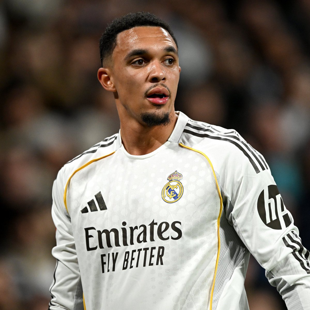 Sary Cornejo tweet media