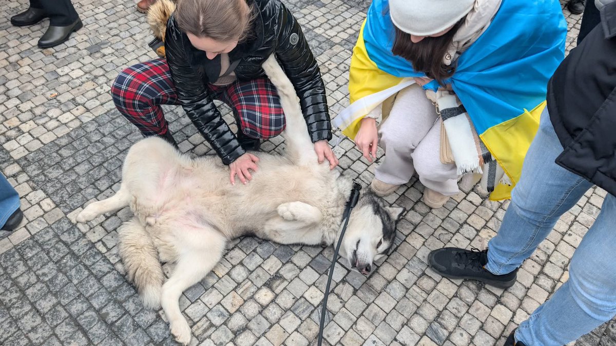 Středočeská Sešívka🇨🇿🇺🇦🇮🇱 tweet media