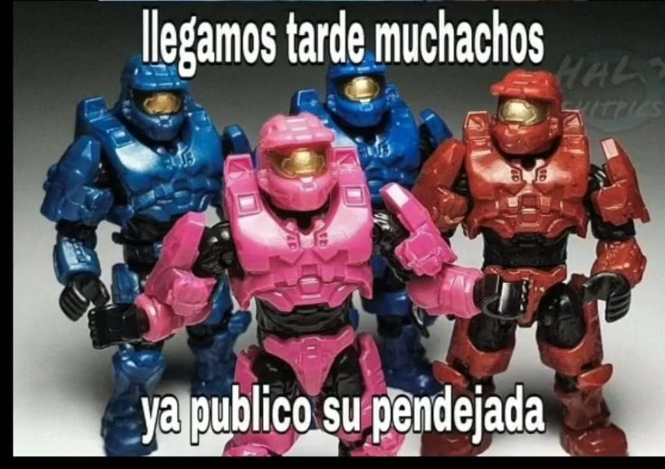 dusekkar pendejo tweet media