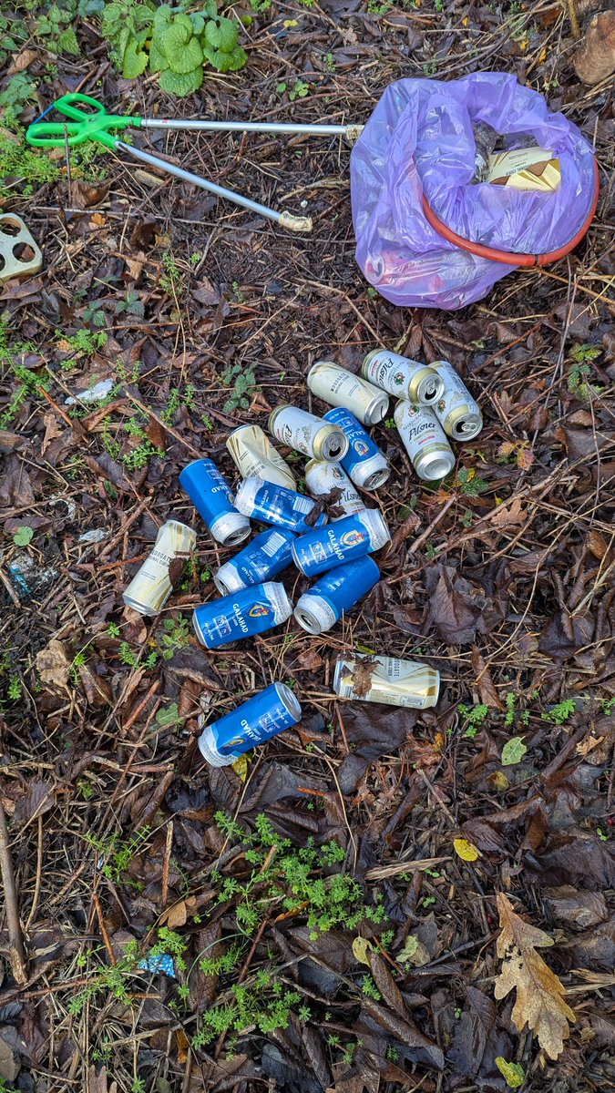 Greenspace tweet media