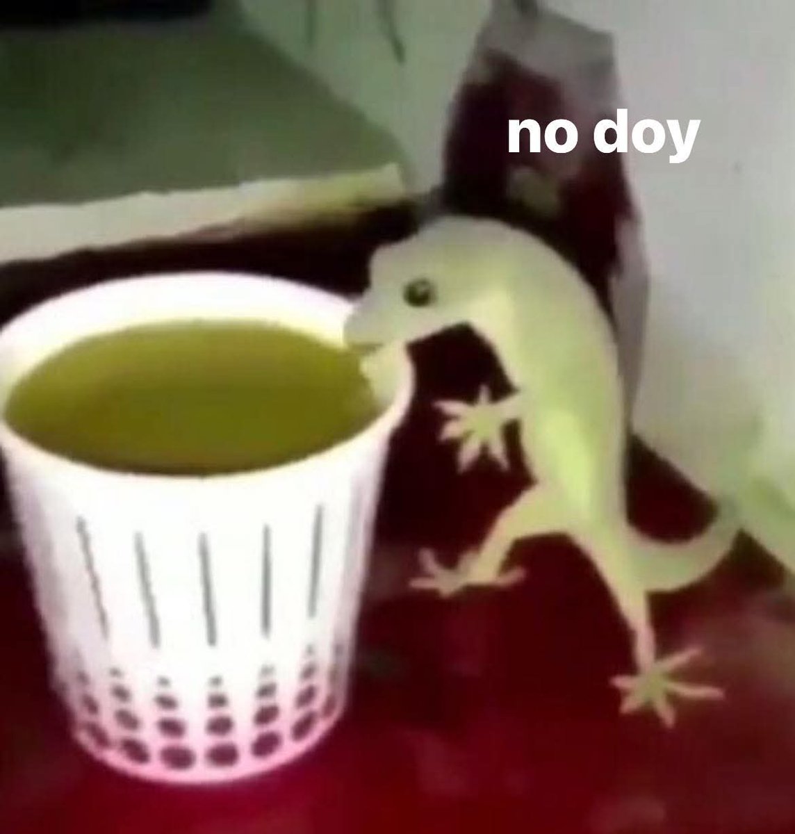 Natalia Pinto tweet media