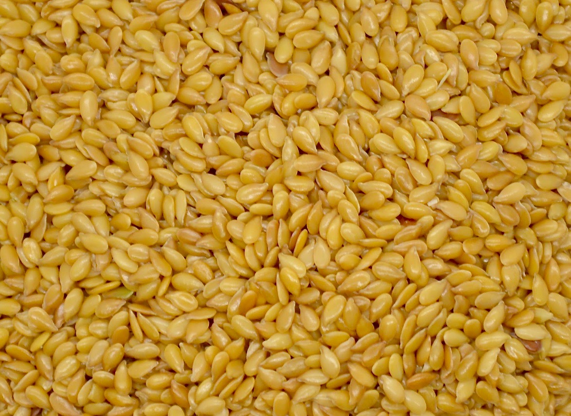 Flax is a small but mighty plant that should not be overlooked, especially as we enter into spring.

This tiny plant is an excellent mycorrhizal host and just a few pounds will go a very long ways in your mix.

Pollinators are attracted to the various blue/purple colors of the