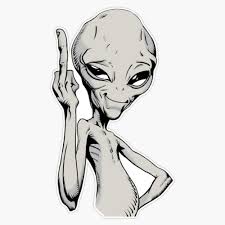 Your Ai is so probing... Elon just adds vibe...