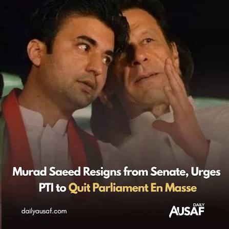 Momina Shabbir tweet media
