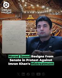 Momina Shabbir tweet media
