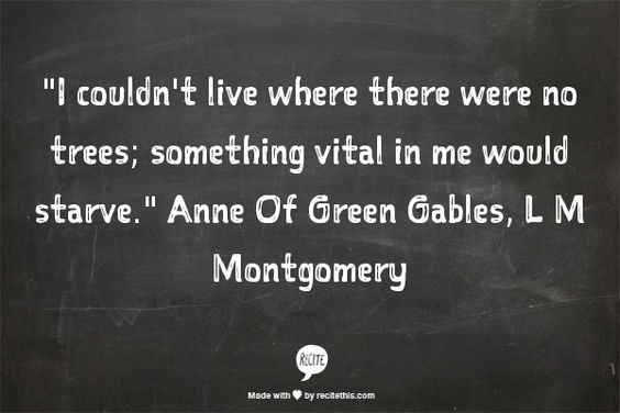 Caffeine & Chaos tweet media