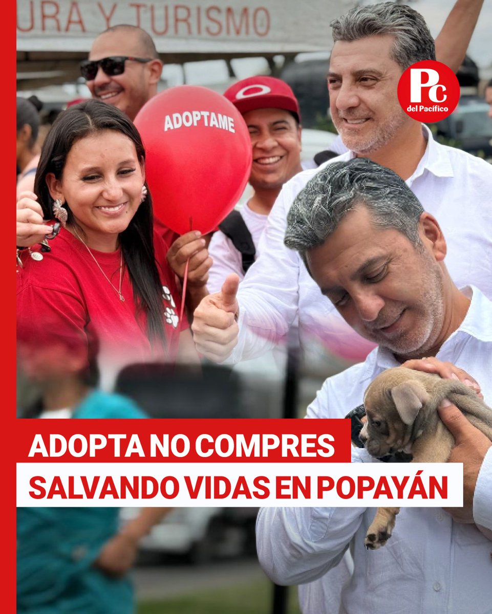#Cauca 👏🏽🐶 || 16 animales encontraron un nuevo hogar en una exitosa jornada de adopción realizada en Popayán.

La actividad permitió que ciudadanos se sumaran al compromiso por el bienestar animal, brindando cuidado, protección y una segunda oportunidad a quienes más lo