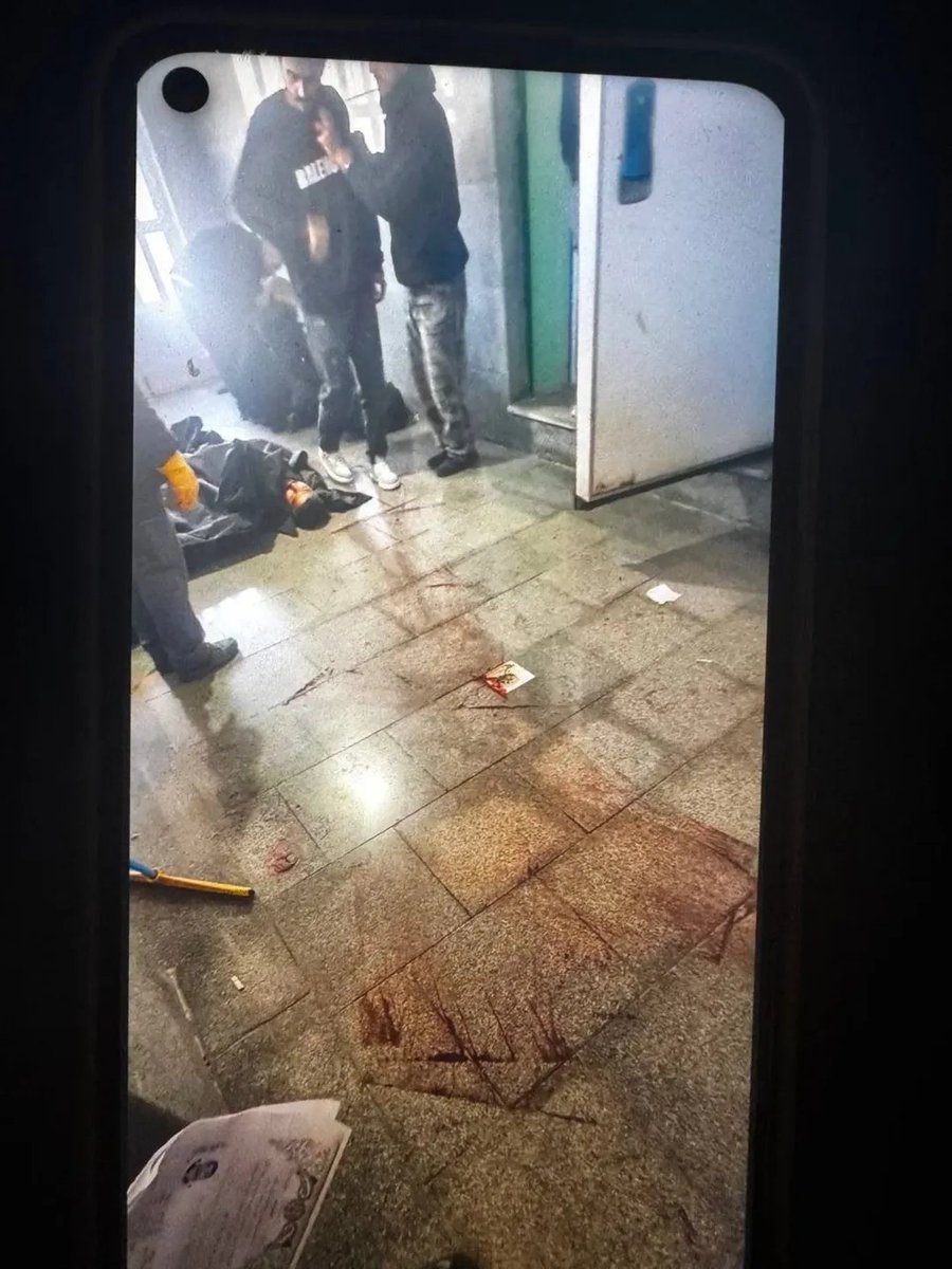 شیردُخت✨️🇮🇷 tweet media