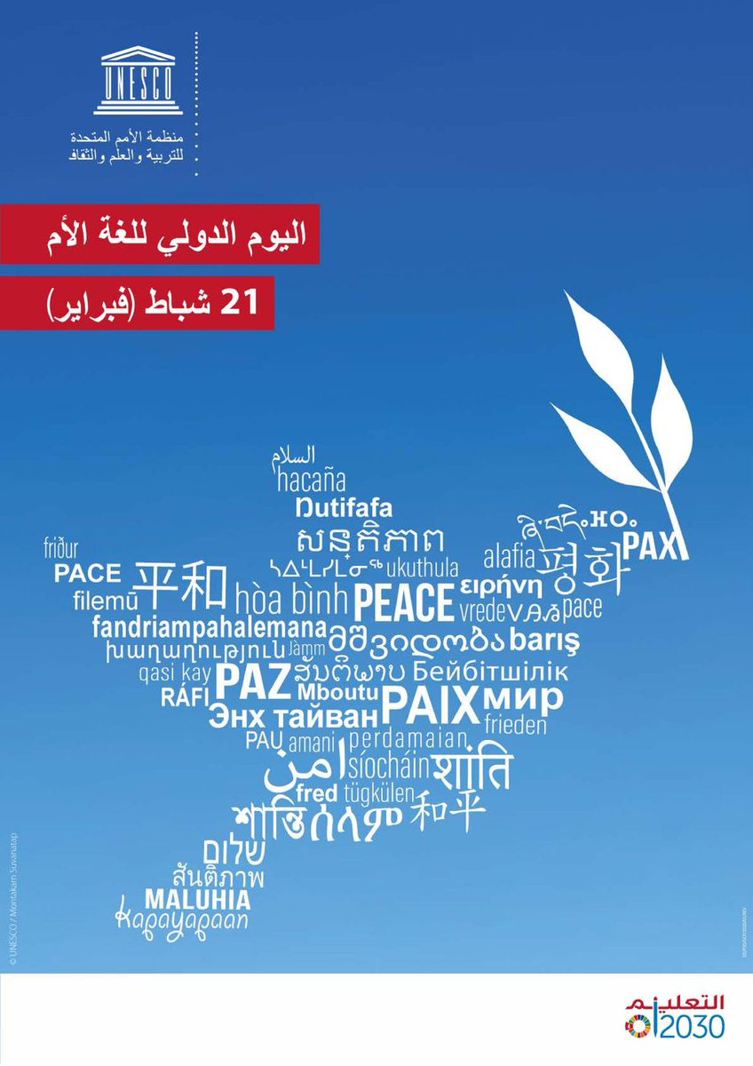 Anís del moro tweet media