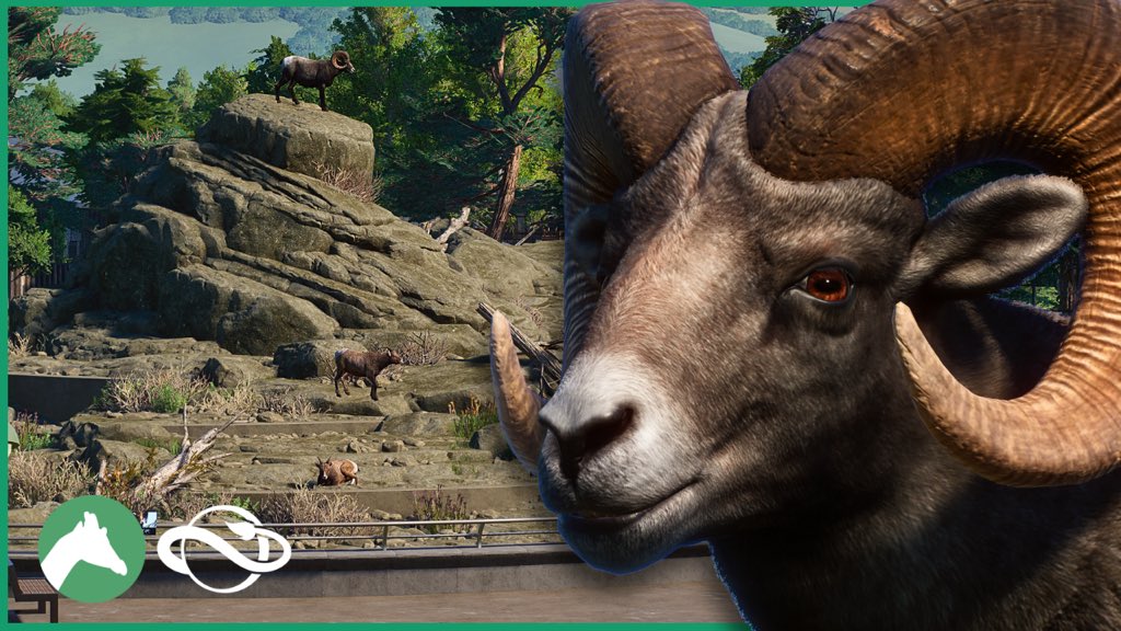 Cesar Creates tweet media