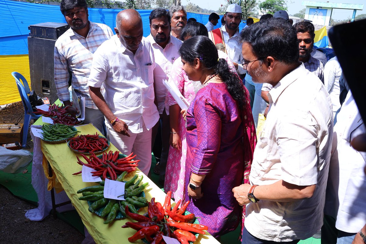Collector_WGL's tweet photo. నల్లబెల్లి మండలం కొండాయిలపల్లిలో 
ఉద్యానవన శాఖ ఆధ్వర్యంలో మిర్చి రైతులకు  ఏర్పాటు చేసిన అవగాహన సదస్సులో గౌరవ నర్సంపేట ఎమ్మెల్యే గారితో కలసి పాల్గొనుట. @iamkondasurekha @INC_Ponguleti @TelanganaCMO @TelanganaCS https://t.co/mK8lvs1co5