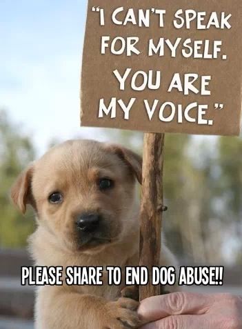 👉RAEES😇KHAN😈👈 (@raeeskhan008) on Twitter photo 