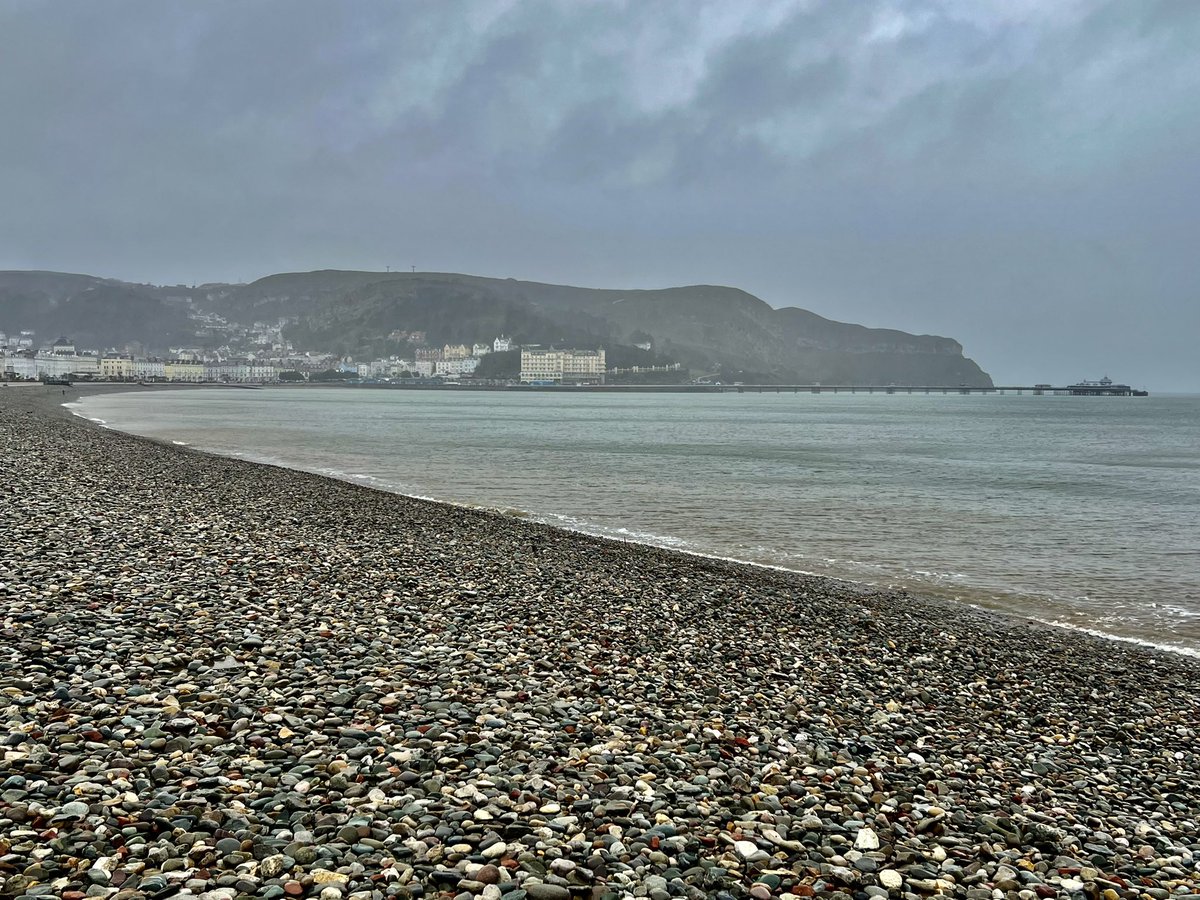 Matthew Lumby tweet media