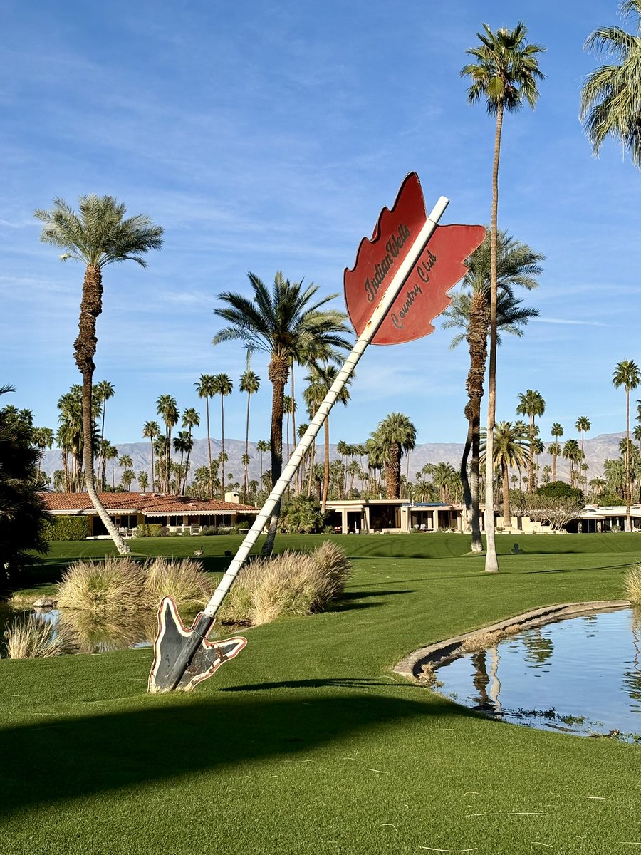 SaguaroAmateurSeries tweet media