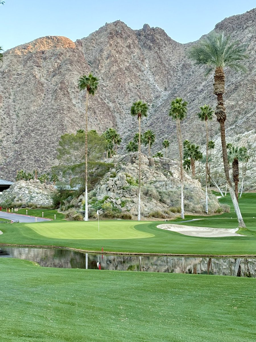 SaguaroAmateurSeries tweet media