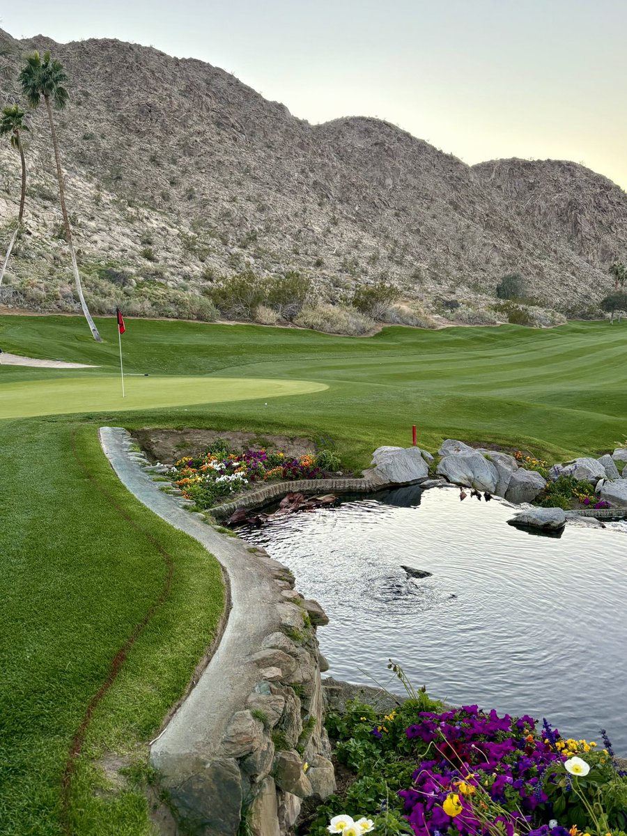 SaguaroAmateurSeries tweet media