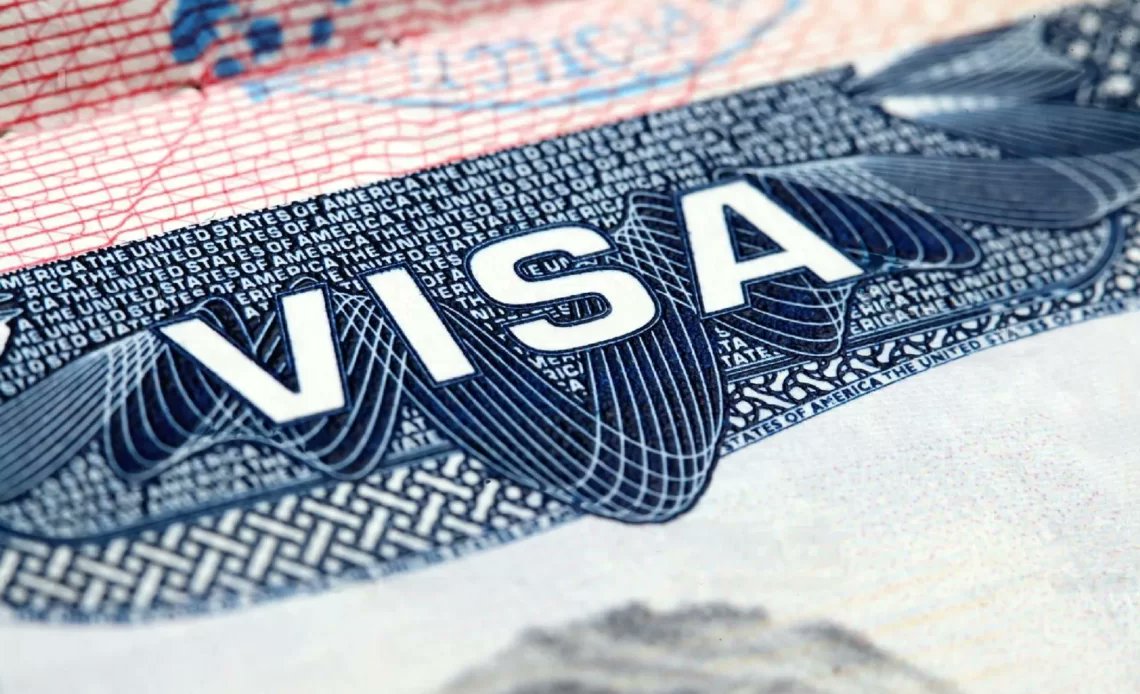 Khier Saidani tweet media