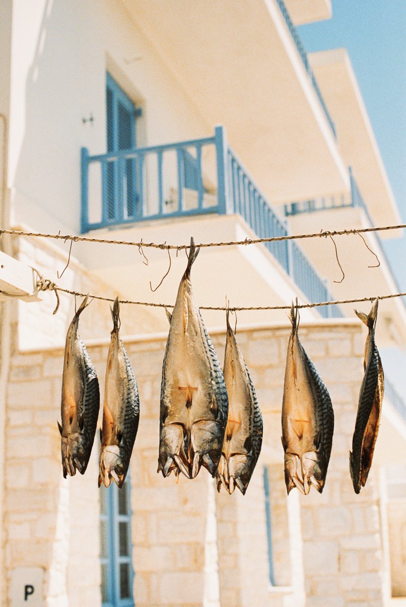 Simon Ribadeneira tweet media