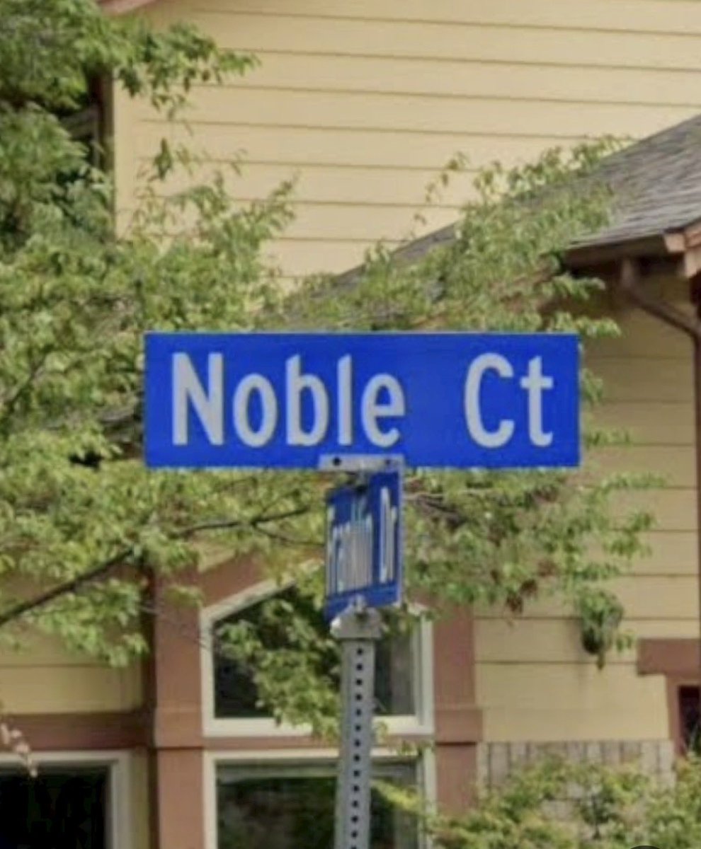 Noble Intern tweet media