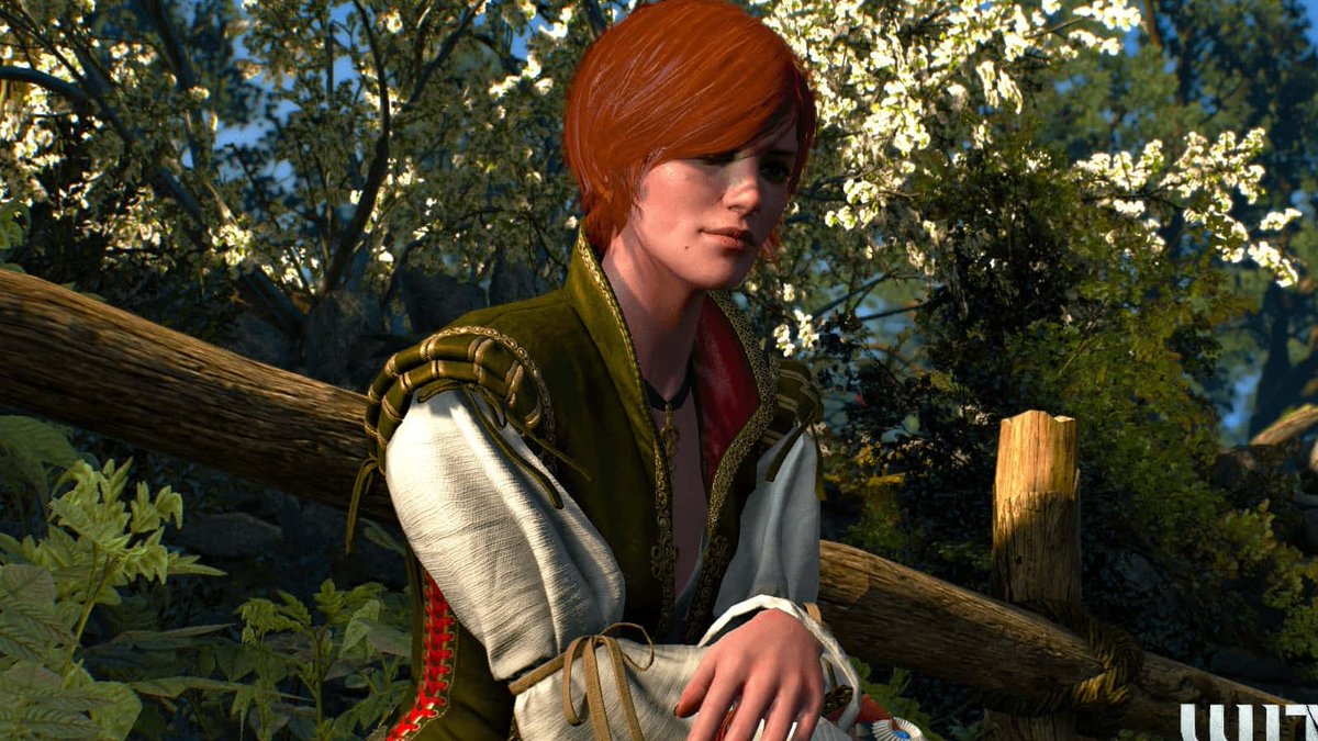 MGG_France's tweet photo. Quelle romance est la meilleure dans The Witcher 3 : Wild Hunt si vous deviez en choisir qu'une seule ?

La voix officielle du sorceleur semble avoir tranché, puisque Doug Cockle a dévoilé sa romance préférée, et il s'agit de l'histoire entre Geralt et Shani !

« Yen est en troisième position, Triss en deuxième, et Shani est la première... Je préfère Triss dans le jeu, en partie parce que j'ai un faible pour les rousses... Yen ressemble un peu plus à une mère grincheuse. »

Si l'on devait choisir, de notre côté, on a une préférence pour la romance avec Yennefer, mais on sait à quel point c'est un débat qui ne met personne d'accord depuis la sortie du jeu en 2015 ! 🤣