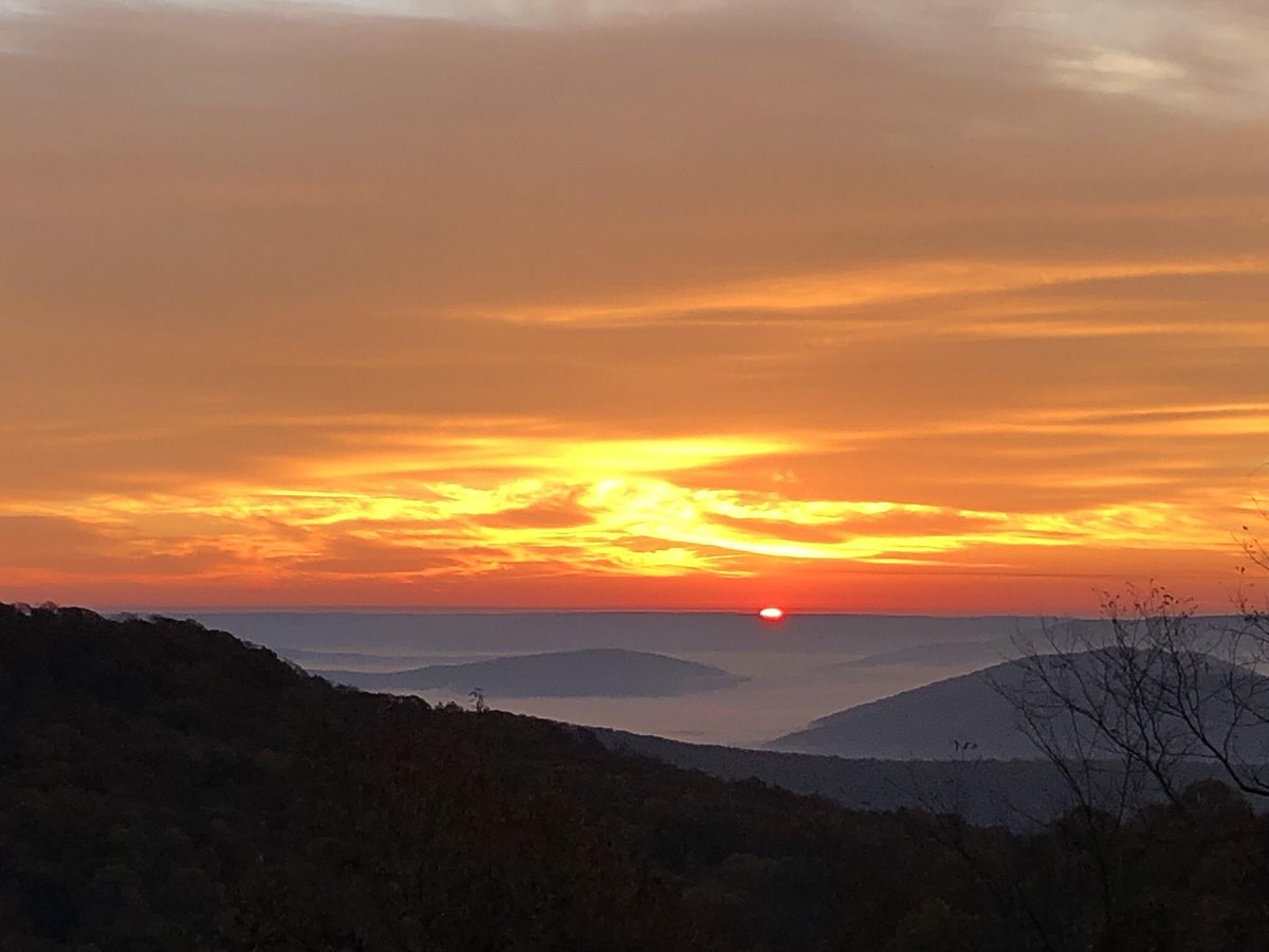 hoopsl1f3's tweet photo. @SandyofCthulhu Alabama sucks.  Stop moving here. https://t.co/gq0of1CdwS