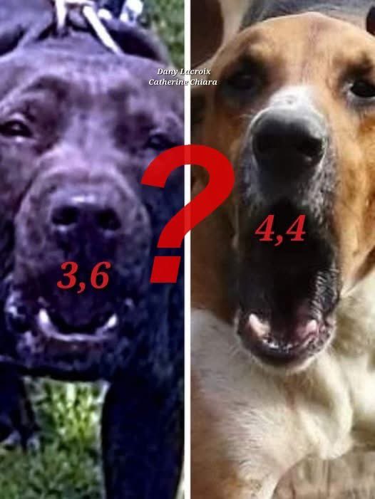 Joe Borselli tweet media