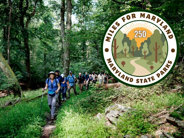 MD Legislative Coalition tweet media