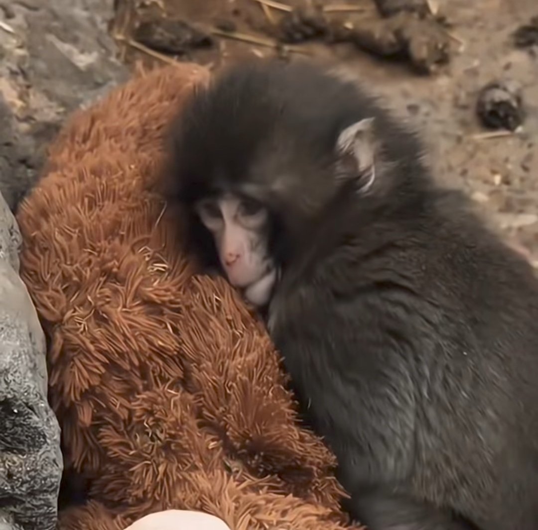 Cbuddy.base.eth tweet media