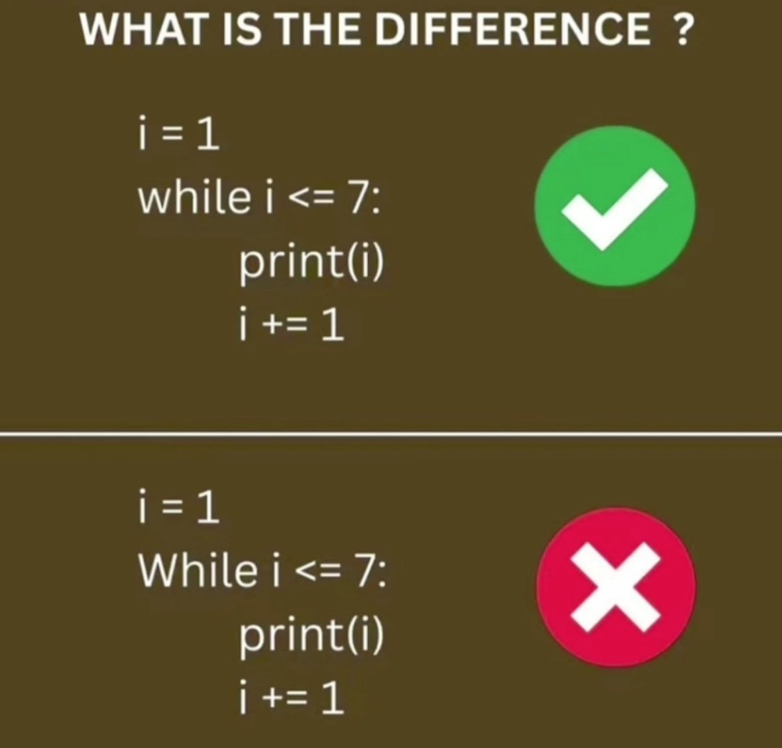 Python Programming tweet media