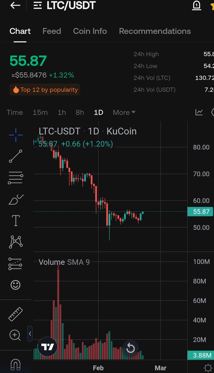 WIZZ🥷 ( beware scammers ) tweet media