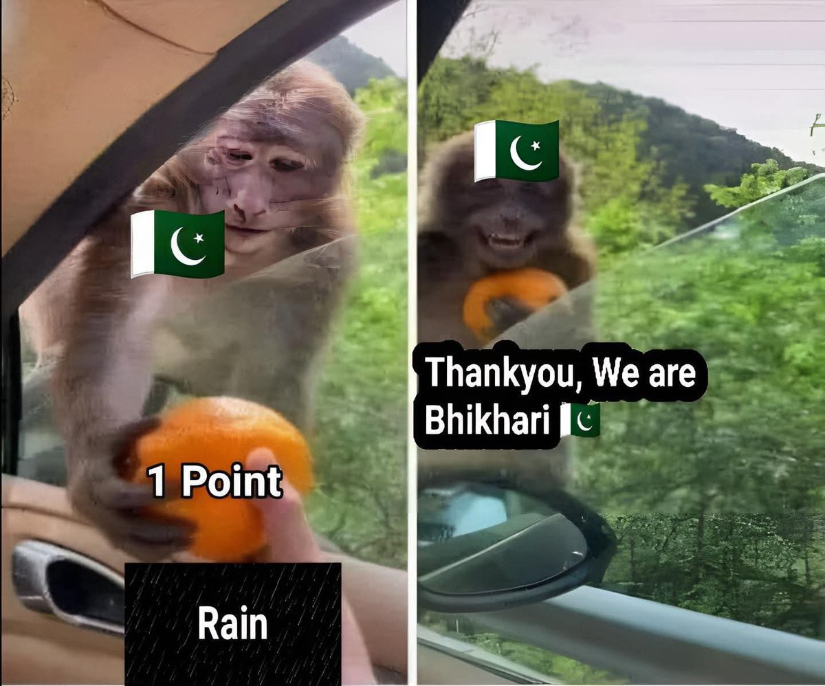 RealWahidaAFG's tweet image. Nature has given 1 point to 🇵🇰😆😂

#PakvsNZ