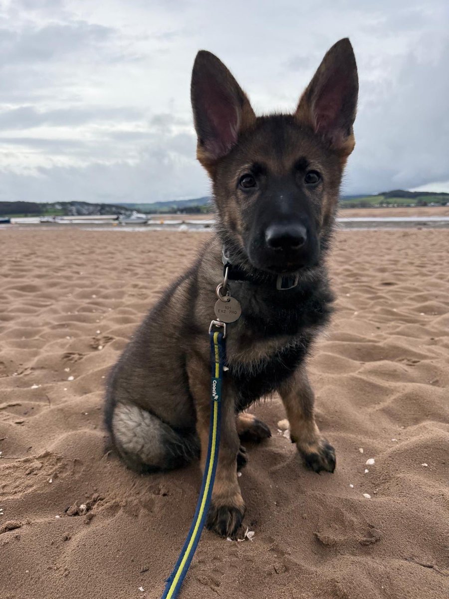 First time on the beach for TPD Vader. 👍