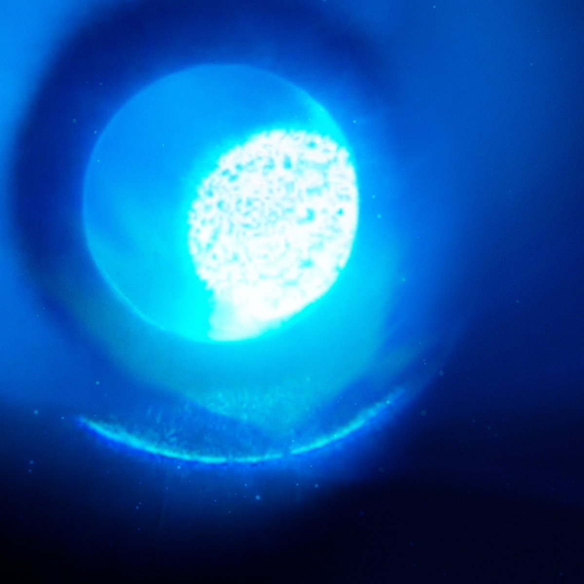  FIFTY0NE  tweet media