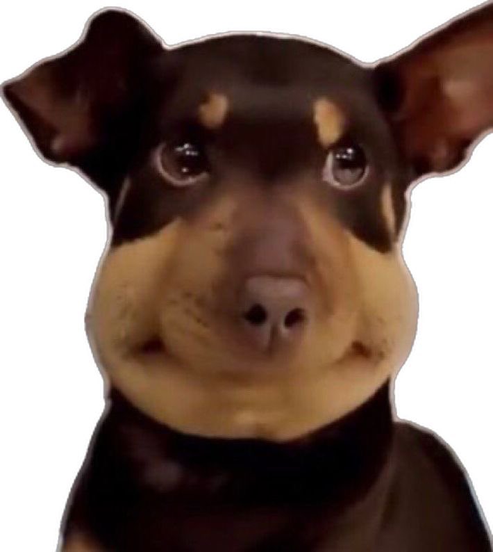 นอยแล้ว!

DUANG WITH YOU EP4
#ด้วงกับเธอEP4
#ดูด้วงEP4กับSKINEDITOR