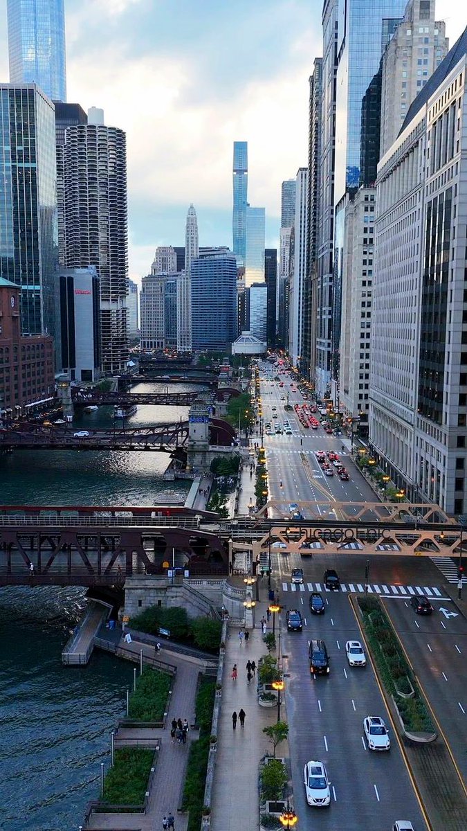 JAY🤘🏽🐻⬇️ Kings of the NORTH tweet media