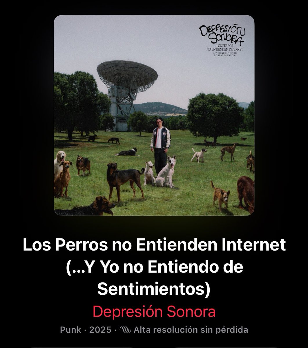 lukass 🎺 tweet media