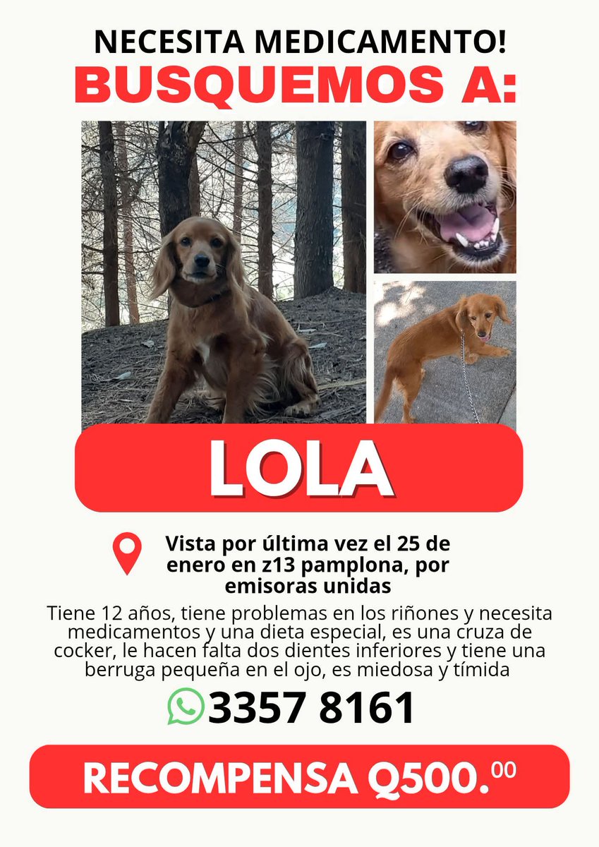 #SeBusca a Lola 🆘️🆘️